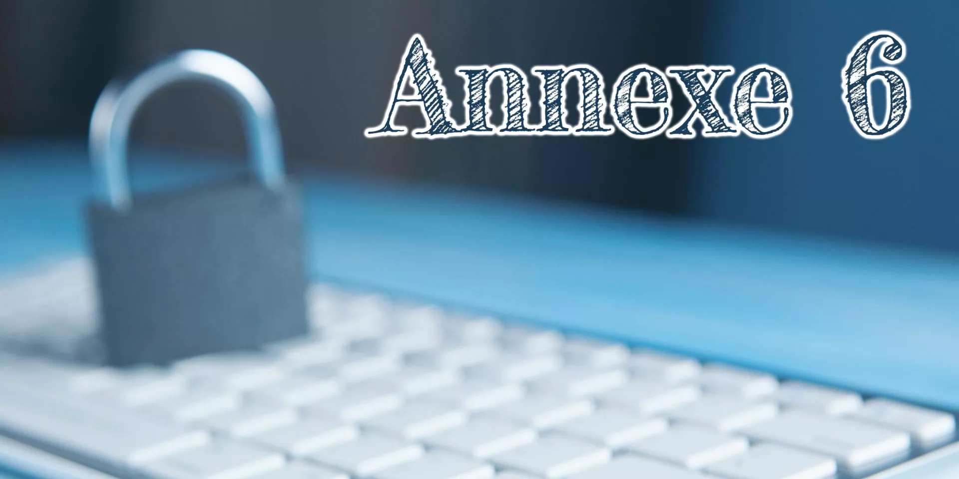 Annexe 6 : respecter la vie privée